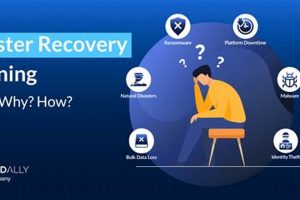 Your Ultimate DRP Disaster Recovery Plan Guide Disaster Information Hub – Latest Natural Disaster News & Emergency Resources Your Ultimate DRP Disaster Recovery Plan Guide | Disaster Information Hub – Latest Natural Disaster News & Emergency Resources