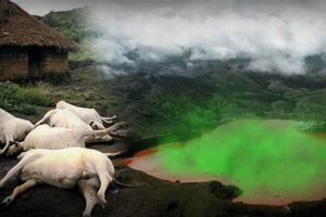 The Nyos Lake Disaster: Tragedy & Aftermath | Disaster Information Hub – Latest Natural Disaster News & Emergency Resources