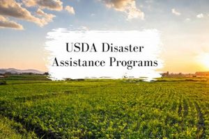 2024 USDA Disaster Relief Programs Guide Disaster Information Hub – Latest Natural Disaster News & Emergency Resources 2024 USDA Disaster Relief Programs Guide | Disaster Information Hub – Latest Natural Disaster News & Emergency Resources