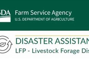 Applying for Livestock Forage Disaster Program Aid Disaster Information Hub – Latest Natural Disaster News & Emergency Resources Applying for Livestock Forage Disaster Program Aid | Disaster Information Hub – Latest Natural Disaster News & Emergency Resources