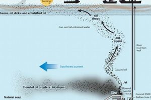 Deepwater Horizon: Uncovering the BP Oil Spill Causes Disaster Information Hub – Latest Natural Disaster News & Emergency Resources Deepwater Horizon: Uncovering the BP Oil Spill Causes | Disaster Information Hub – Latest Natural Disaster News & Emergency Resources