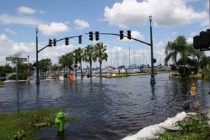 Miami, Florida: Natural Disaster Risks & Preparedness Disaster Information Hub – Latest Natural Disaster News & Emergency Resources Miami, Florida: Natural Disaster Risks & Preparedness | Disaster Information Hub – Latest Natural Disaster News & Emergency Resources