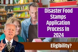 TX Disaster Food Stamps Guide 2024 Disaster Information Hub – Latest Natural Disaster News & Emergency Resources TX Disaster Food Stamps Guide 2024 | Disaster Information Hub – Latest Natural Disaster News & Emergency Resources