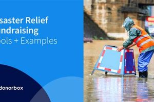 Disaster Preparedness Fundraising: A Guide Disaster Information Hub – Latest Natural Disaster News & Emergency Resources Disaster Preparedness Fundraising: A Guide | Disaster Information Hub – Latest Natural Disaster News & Emergency Resources