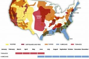 Interactive US Natural Disaster Map & Tracker Disaster Information Hub – Latest Natural Disaster News & Emergency Resources Interactive US Natural Disaster Map & Tracker | Disaster Information Hub – Latest Natural Disaster News & Emergency Resources