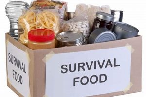 Essential Disaster Food Kit Guide & Checklist Disaster Information Hub – Latest Natural Disaster News & Emergency Resources Essential Disaster Food Kit Guide & Checklist | Disaster Information Hub – Latest Natural Disaster News & Emergency Resources