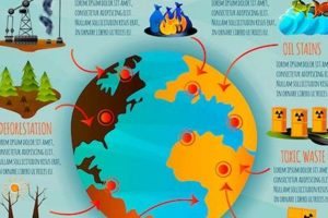 Preventing Ecological Disaster: A Guide | Disaster Information Hub – Latest Natural Disaster News & Emergency Resources