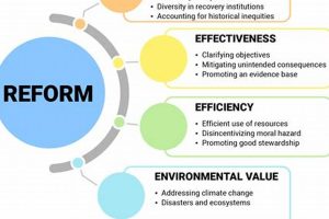 Achieving Disaster Equity: A Guide for Communities Disaster Information Hub – Latest Natural Disaster News & Emergency Resources Achieving Disaster Equity: A Guide for Communities | Disaster Information Hub – Latest Natural Disaster News & Emergency Resources