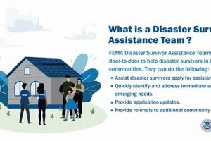 Understanding FEMA After a Disaster: Roles & Aid Disaster Information Hub – Latest Natural Disaster News & Emergency Resources Understanding FEMA After a Disaster: Roles & Aid | Disaster Information Hub – Latest Natural Disaster News & Emergency Resources