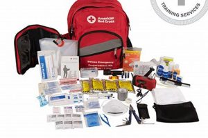 Essential Red Cross Disaster Kit Guide & Checklist Disaster Information Hub – Latest Natural Disaster News & Emergency Resources Essential Red Cross Disaster Kit Guide & Checklist | Disaster Information Hub – Latest Natural Disaster News & Emergency Resources
