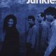 Cowboy Junkies: A Common Disaster Album Review | Disaster Information Hub – Latest Natural Disaster News & Emergency Resources