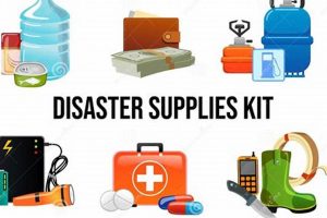 Ultimate Disaster Kit 6.7: Survival Guide Disaster Information Hub – Latest Natural Disaster News & Emergency Resources Ultimate Disaster Kit 6.7: Survival Guide | Disaster Information Hub – Latest Natural Disaster News & Emergency Resources