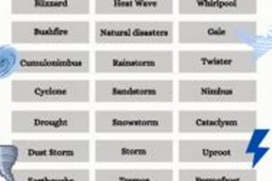 Rhyming with Disaster: Words Before & After Disaster Information Hub – Latest Natural Disaster News & Emergency Resources Rhyming with Disaster: Words Before & After | Disaster Information Hub – Latest Natural Disaster News & Emergency Resources