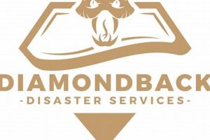 Diamondback Disaster Services: Expert Restoration & Recovery Disaster Information Hub – Latest Natural Disaster News & Emergency Resources Diamondback Disaster Services: Expert Restoration & Recovery | Disaster Information Hub – Latest Natural Disaster News & Emergency Resources