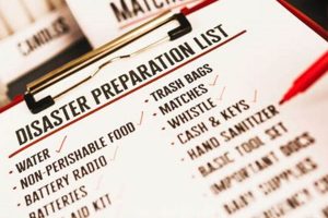 Preparing Communities for Natural Disasters: A Guide | Disaster Information Hub – Latest Natural Disaster News & Emergency Resources