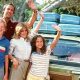 Surviving Disaster Vacations: A Guide | Disaster Information Hub – Latest Natural Disaster News & Emergency Resources