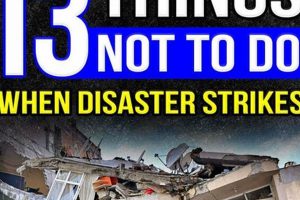 When Disaster Strikes: Your Survival Guide | Disaster Information Hub – Latest Natural Disaster News & Emergency Resources