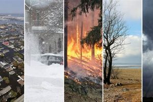 Analyzing Air Disaster Statistics: Trends & Insights Disaster Information Hub – Latest Natural Disaster News & Emergency Resources Analyzing Air Disaster Statistics: Trends & Insights | Disaster Information Hub – Latest Natural Disaster News & Emergency Resources
