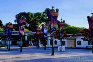 Disneyland's Opening Day: Disaster Strikes! Disaster Information Hub – Latest Natural Disaster News & Emergency Resources Disneyland's Opening Day: Disaster Strikes! | Disaster Information Hub – Latest Natural Disaster News & Emergency Resources