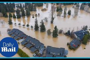 Seattle WA Natural Disaster Risks & Preparedness | Disaster Information Hub – Latest Natural Disaster News & Emergency Resources