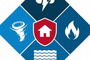 Effective Pre-Disaster Mitigation Strategies Disaster Information Hub – Latest Natural Disaster News & Emergency Resources Effective Pre-Disaster Mitigation Strategies | Disaster Information Hub – Latest Natural Disaster News & Emergency Resources