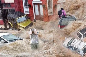 California Natural Disasters: A Guide &amp; Resources | Disaster Information Hub – Latest Natural Disaster News & Emergency Resources
