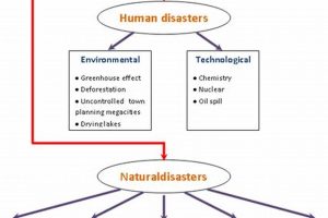 Understanding Disaster Categories: A Comprehensive Guide Disaster Information Hub – Latest Natural Disaster News & Emergency Resources Understanding Disaster Categories: A Comprehensive Guide | Disaster Information Hub – Latest Natural Disaster News & Emergency Resources