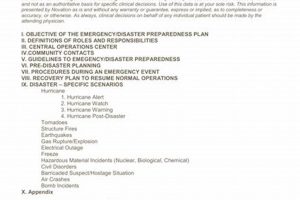 Best Disaster Preparedness Plan Examples & Templates Disaster Information Hub – Latest Natural Disaster News & Emergency Resources Best Disaster Preparedness Plan Examples & Templates | Disaster Information Hub – Latest Natural Disaster News & Emergency Resources