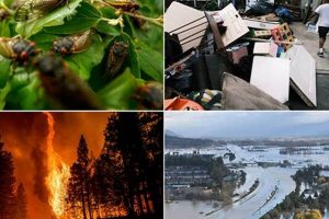 Devastating Natural Weather Disasters: A Global Crisis Safem Fabrication - Precision Engineering & Custom Manufacturing Solutions Devastating Natural Weather Disasters: A Global Crisis | Safem Fabrication - Precision Engineering & Custom Manufacturing Solutions