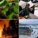 Devastating Natural Weather Disasters: A Global Crisis | Disaster Information Hub – Latest Natural Disaster News & Emergency Resources