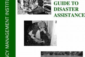 Top Disaster Response Agencies: Who Helps? Disaster Information Hub – Latest Natural Disaster News & Emergency Resources Top Disaster Response Agencies: Who Helps? | Disaster Information Hub – Latest Natural Disaster News & Emergency Resources