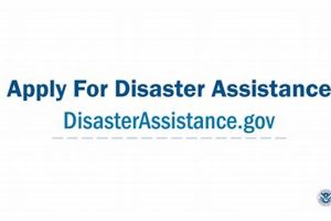 Find FEMA Disaster Relief Employment Jobs Now Disaster Information Hub – Latest Natural Disaster News & Emergency Resources Find FEMA Disaster Relief Employment Jobs Now | Disaster Information Hub – Latest Natural Disaster News & Emergency Resources