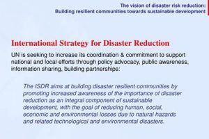 UN Disaster Risk Reduction Strategy & Framework Disaster Information Hub – Latest Natural Disaster News & Emergency Resources UN Disaster Risk Reduction Strategy & Framework | Disaster Information Hub – Latest Natural Disaster News & Emergency Resources