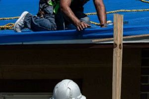 Top Disaster Relief Contractors: Find Experts Disaster Information Hub – Latest Natural Disaster News & Emergency Resources Top Disaster Relief Contractors: Find Experts | Disaster Information Hub – Latest Natural Disaster News & Emergency Resources