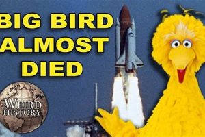 Averting a "Big Bird" Satellite Disaster: Lessons from Challenger Disaster Information Hub – Latest Natural Disaster News & Emergency Resources Averting a "Big Bird" Satellite Disaster: Lessons from Challenger | Disaster Information Hub – Latest Natural Disaster News & Emergency Resources