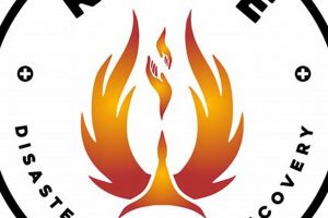 Rise Disaster Relief & Recovery Efforts | Disaster Information Hub – Latest Natural Disaster News & Emergency Resources