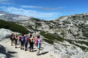 Dachstein Hiking Disaster: Tragedy in the Alps Disaster Information Hub – Latest Natural Disaster News & Emergency Resources Dachstein Hiking Disaster: Tragedy in the Alps | Disaster Information Hub – Latest Natural Disaster News & Emergency Resources
