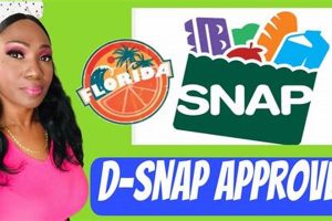 Applying for Disaster SNAP: A Step-by-Step Guide Disaster Information Hub – Latest Natural Disaster News & Emergency Resources Applying for Disaster SNAP: A Step-by-Step Guide | Disaster Information Hub – Latest Natural Disaster News & Emergency Resources