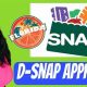 Applying for Disaster SNAP: A Step-by-Step Guide | Disaster Information Hub – Latest Natural Disaster News & Emergency Resources