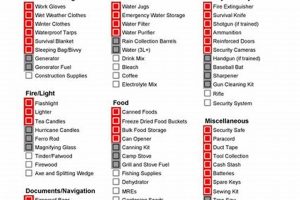Ultimate Disaster Kit: Survival Checklist Disaster Information Hub – Latest Natural Disaster News & Emergency Resources Ultimate Disaster Kit: Survival Checklist | Disaster Information Hub – Latest Natural Disaster News & Emergency Resources