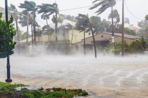 Preparing for Hurricanes & Natural Disasters Disaster Information Hub – Latest Natural Disaster News & Emergency Resources Preparing for Hurricanes & Natural Disasters | Disaster Information Hub – Latest Natural Disaster News & Emergency Resources