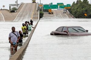 Houston Disaster Preparedness & Recovery Guide Disaster Information Hub – Latest Natural Disaster News & Emergency Resources Houston Disaster Preparedness & Recovery Guide | Disaster Information Hub – Latest Natural Disaster News & Emergency Resources