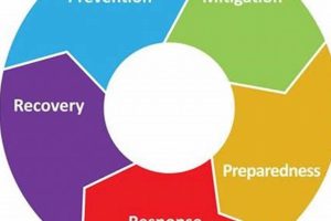 Understanding the 5 Phases of Disaster Management: A Complete Guide Disaster Information Hub – Latest Natural Disaster News & Emergency Resources Understanding the 5 Phases of Disaster Management: A Complete Guide | Disaster Information Hub – Latest Natural Disaster News & Emergency Resources