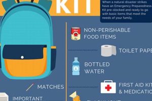 Ultimate Disaster Kit Essentials Checklist Disaster Information Hub – Latest Natural Disaster News & Emergency Resources Ultimate Disaster Kit Essentials Checklist | Disaster Information Hub – Latest Natural Disaster News & Emergency Resources