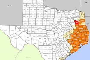 Texas FEMA Disaster: Relief & Recovery Guide Disaster Information Hub – Latest Natural Disaster News & Emergency Resources Texas FEMA Disaster: Relief & Recovery Guide | Disaster Information Hub – Latest Natural Disaster News & Emergency Resources