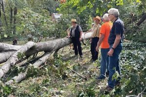 NC Disaster Response Guide & Resources Disaster Information Hub – Latest Natural Disaster News & Emergency Resources NC Disaster Response Guide & Resources | Disaster Information Hub – Latest Natural Disaster News & Emergency Resources