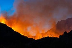 Phoenix AZ Natural Disaster Guide & Prep Disaster Information Hub – Latest Natural Disaster News & Emergency Resources Phoenix AZ Natural Disaster Guide & Prep | Disaster Information Hub – Latest Natural Disaster News & Emergency Resources