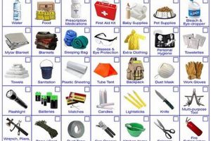 Ultimate Red Cross Disaster Kit List & Guide Disaster Information Hub – Latest Natural Disaster News & Emergency Resources Ultimate Red Cross Disaster Kit List & Guide | Disaster Information Hub – Latest Natural Disaster News & Emergency Resources