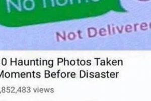 Epic Photos Taken Before Disaster Meme Moments Disaster Information Hub – Latest Natural Disaster News & Emergency Resources Epic Photos Taken Before Disaster Meme Moments | Disaster Information Hub – Latest Natural Disaster News & Emergency Resources