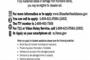 FEMA Disaster Phone Number: Get Help Now Disaster Information Hub – Latest Natural Disaster News & Emergency Resources FEMA Disaster Phone Number: Get Help Now | Disaster Information Hub – Latest Natural Disaster News & Emergency Resources